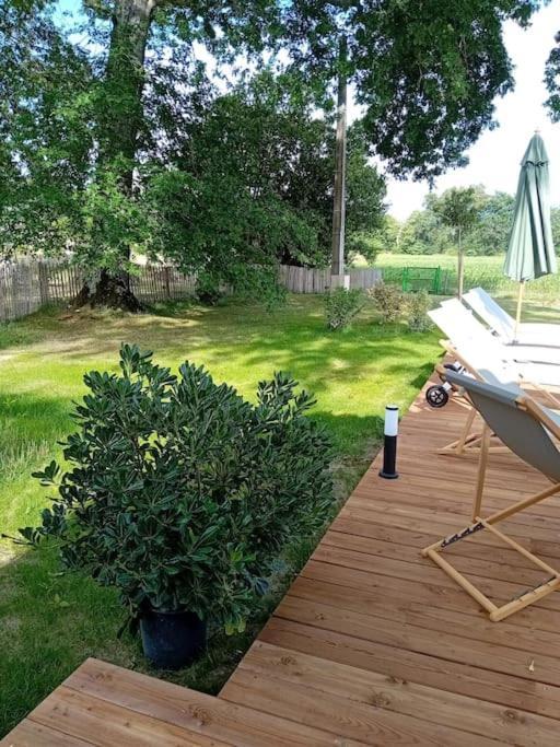 Maison Neuve Avec Piscine Chauffee, 4 Kms De Contis Plage サン・ジュリアン・アン・ボルヌ エクステリア 写真